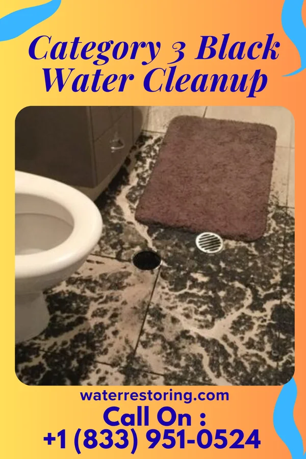 Category 3 Black Water Cleanup in Amberley, OH