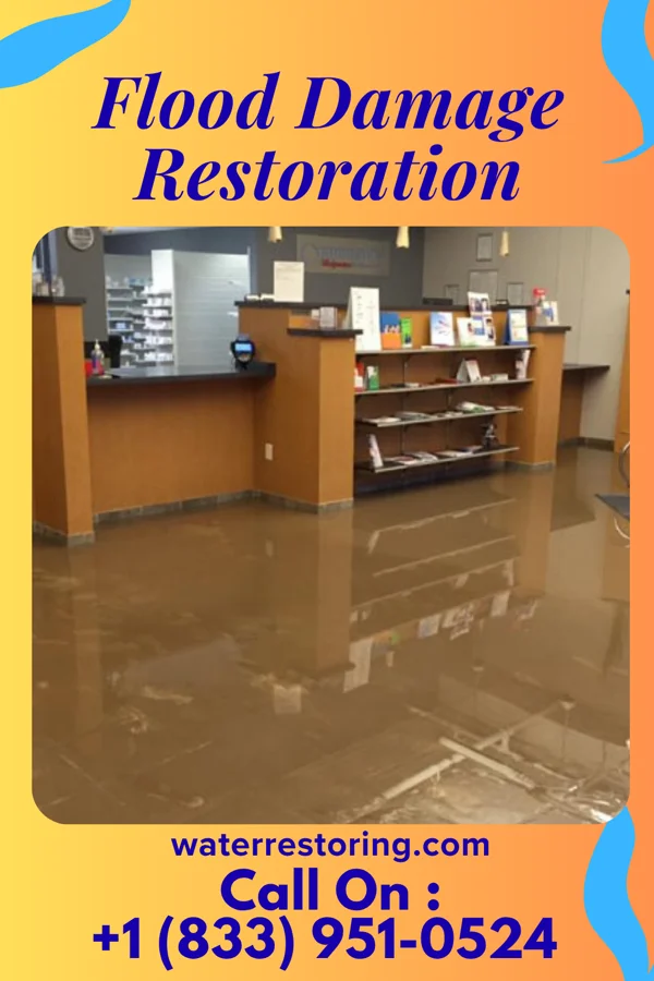Flood Damage Restoration in Amberley, OH