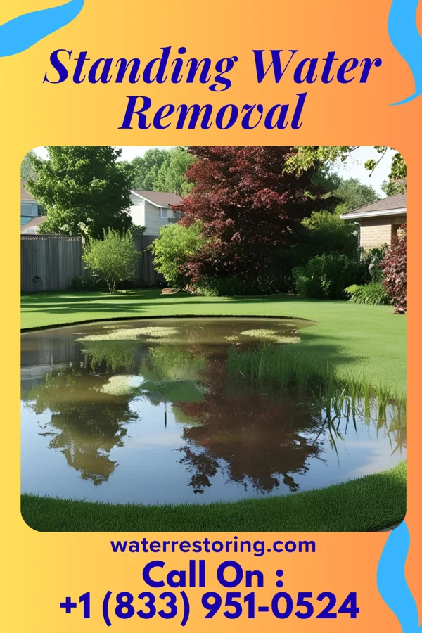 Standing Water Removal in Amberley, OH